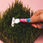How to Trim Your Pubic Hair for Guys