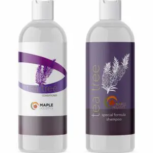 Tea Tree Oil Shampoo and Hair Conditioner by Maple Holistics