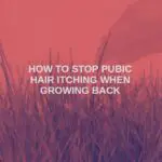 how to stop pubic hair itching when growing back